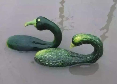 博雅吃瓜网红是谁啊图片,网络红人的崛起之路 第3张 博雅吃瓜网红是谁啊图片,网络红人的崛起之路 第3张